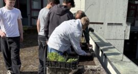 Klimaschutz voranbringen mit DeinProjekt Coach