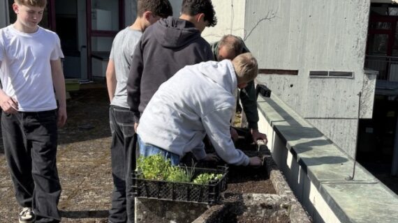 Klimaschutz voranbringen mit DeinProjekt Coach